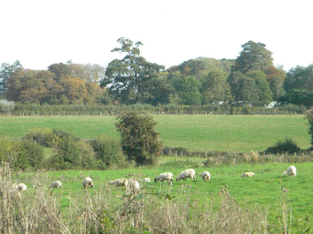 The House Near Bath Woolverton Exterior foto