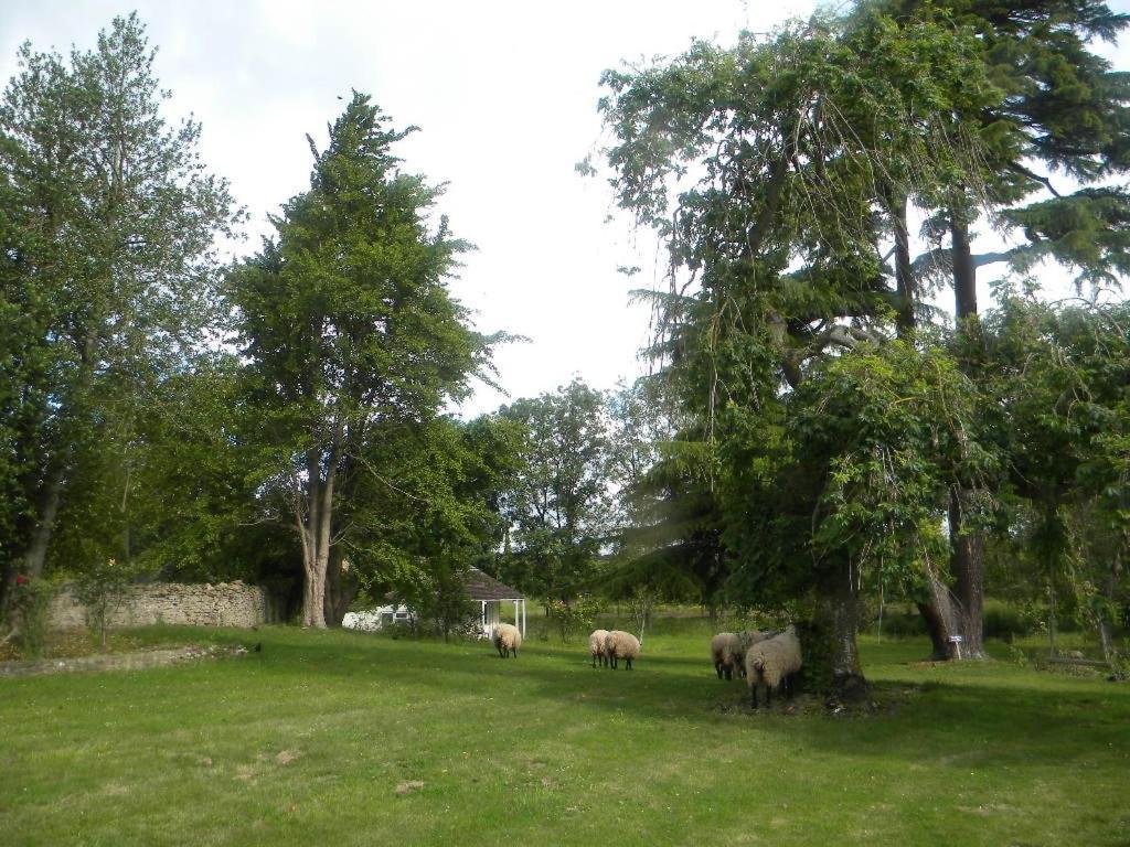 The House Near Bath Woolverton Exterior foto